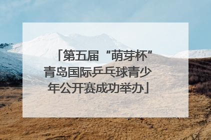 第五届“萌芽杯”青岛国际乒乓球青少年公开赛成功举办