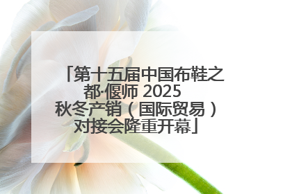 第十五届中国布鞋之都·偃师 2025 秋冬产销（国际贸易）对接会隆重开幕