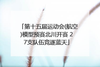 第十五届运动会(航空)模型预赛北川开赛 27支队伍竞逐蓝天