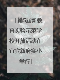 第5届新教育实验示范学校开放活动在宜宾叙府实小举行