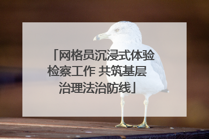 网格员沉浸式体验检察工作 共筑基层治理法治防线