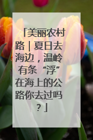美丽农村路｜夏日去海边，温岭有条“浮”在海上的公路你去过吗？