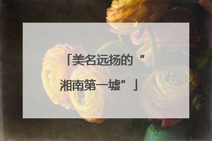 美名远扬的“湘南第一墟”