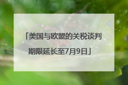 美国与欧盟的关税谈判期限延长至7月9日