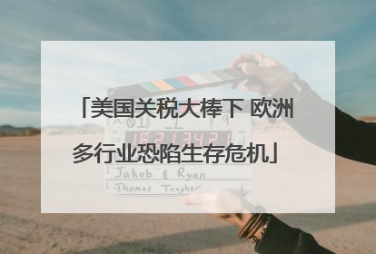 美国关税大棒下 欧洲多行业恐陷生存危机