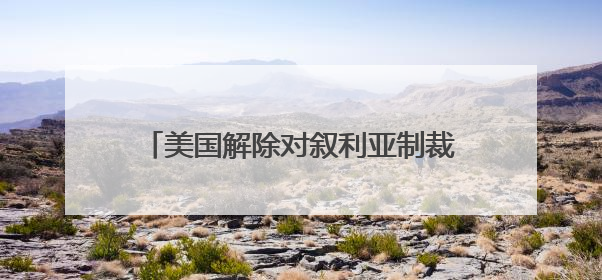 美国解除对叙利亚制裁背后：谁在推动建造大马士革特朗普大厦？