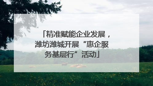 精准赋能企业发展，潍坊潍城开展“惠企服务基层行”活动
