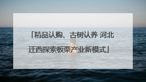 精品认购、古树认养 河北迁西探索板栗产业新模式