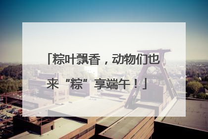 粽叶飘香，动物们也来“粽”享端午！