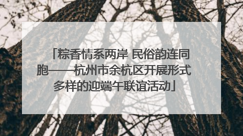 粽香情系两岸 民俗韵连同胞——杭州市余杭区开展形式多样的迎端午联谊活动