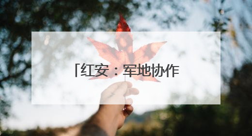红安：军地协作整治穿着仿制军服商业演出乱象