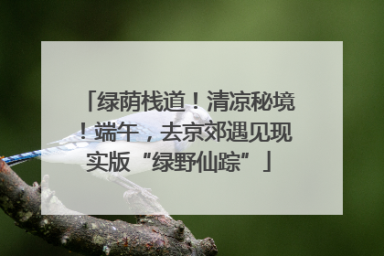 绿荫栈道！清凉秘境！端午，去京郊遇见现实版“绿野仙踪”