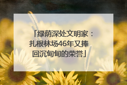 绿荫深处文明家：扎根林场46年又捧回沉甸甸的荣誉