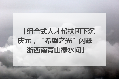 组合式人才帮扶团下沉庆元，“希望之光”闪耀浙西南青山绿水间