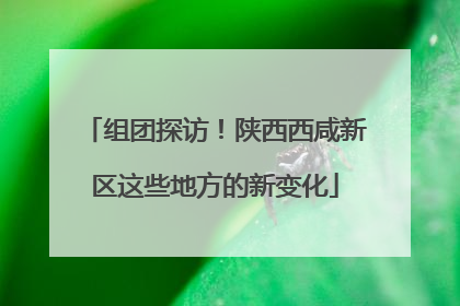 组团探访！陕西西咸新区这些地方的新变化