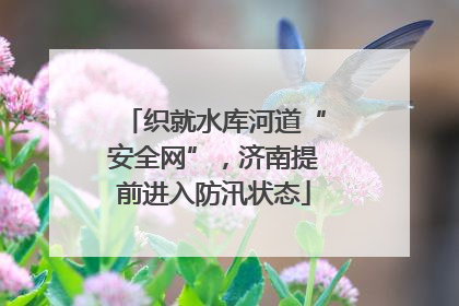 织就水库河道“安全网”，济南提前进入防汛状态