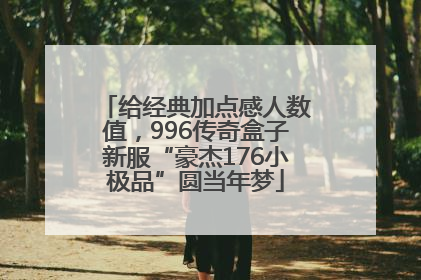 给经典加点感人数值，996传奇盒子新服“豪杰176小极品”圆当年梦
