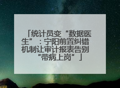 统计员变“数据医生”：宁阳前置纠错机制让审计报表告别“带病上岗”