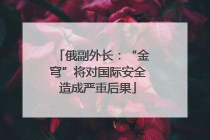 俄副外长：“金穹”将对国际安全造成严重后果