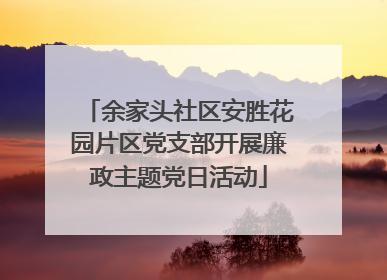 余家头社区安胜花园片区党支部开展廉政主题党日活动