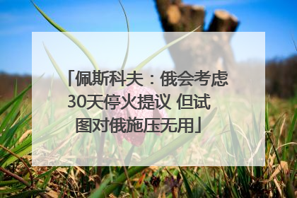 佩斯科夫：俄会考虑30天停火提议 但试图对俄施压无用