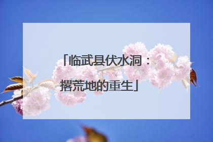 临武县伏水洞：撂荒地的重生