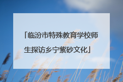 临汾市特殊教育学校师生探访乡宁紫砂文化