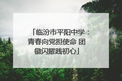 临汾市平阳中学：青春向党担使命 团徽闪耀践初心