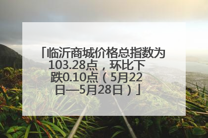 临沂商城价格总指数为103.28点，环比下跌0.10点（5月22日—5月28日）