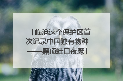 临沧这个保护区首次记录中国独有物种——黑顶蛙口夜鹰