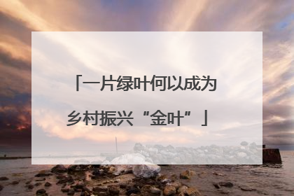 一片绿叶何以成为乡村振兴“金叶”