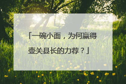 一碗小面，为何赢得壶关县长的力荐？