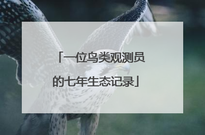 一位鸟类观测员的七年生态记录