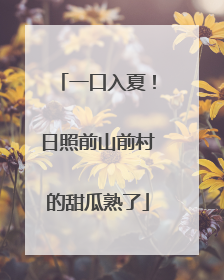 一口入夏！日照前山前村的甜瓜熟了