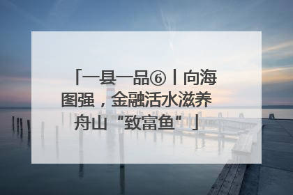 一县一品⑥丨向海图强，金融活水滋养舟山“致富鱼”