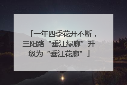一年四季花开不断，三阳路“垂江绿廊”升级为“垂江花廊”