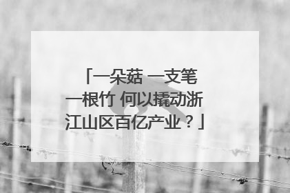 一朵菇 一支笔 一根竹 何以撬动浙江山区百亿产业？