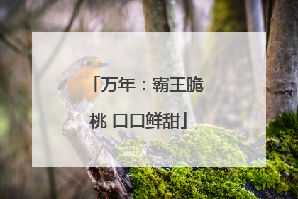 万年：霸王脆桃 口口鲜甜