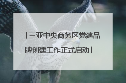 三亚中央商务区党建品牌创建工作正式启动