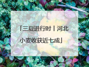 三夏进行时丨河北小麦收获近七成