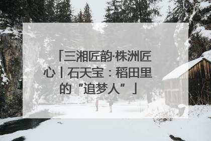 三湘匠韵·株洲匠心丨石天宝：稻田里的“追梦人”