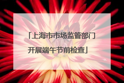 上海市市场监管部门开展端午节前检查