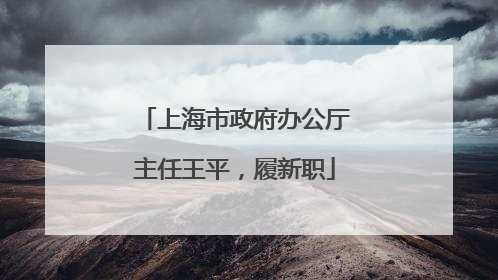 上海市政府办公厅主任王平，履新职