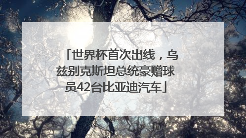 世界杯首次出线，乌兹别克斯坦总统豪赠球员42台比亚迪汽车