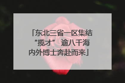 东北三省一区集结“揽才” 逾八千海内外博士奔赴而来
