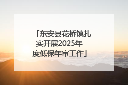 东安县花桥镇扎实开展2025年度低保年审工作