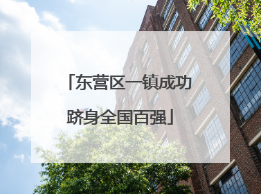 东营区一镇成功跻身全国百强