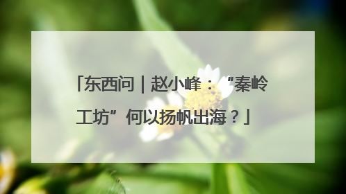 东西问｜赵小峰：“秦岭工坊”何以扬帆出海？