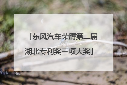 东风汽车荣膺第二届湖北专利奖三项大奖