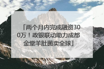 两个月内完成融资300万！政银联动助力成都金堂羊肚菌卖全球
